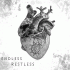 Cover: DevilsBridge - Endless Restless