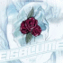 Cover Platz 10