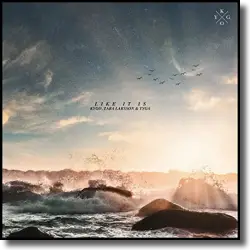 Cover: Kygo, Zara Larsson & Tyga - Like It Is