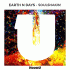 Cover: Earth n Days - Soulshakin'