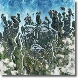 Cover: Disclosure - Energy