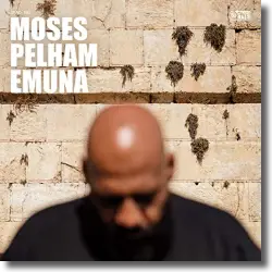 Cover: Moses Pelham - Du