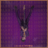 Cover Platz 9