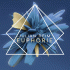 Cover: Julian Reim - Euphorie