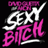 Cover: David Guetta feat. Akon - Sexy Bitch