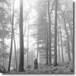 Cover: Taylor Swift - Folklore