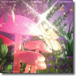 Cover: Calvin Harris & The Weeknd - Over Now