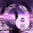 Cover Platz 19