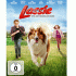 Cover Platz 15