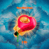 Cover Platz 3
