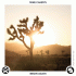 Mike Candys – Begin Again