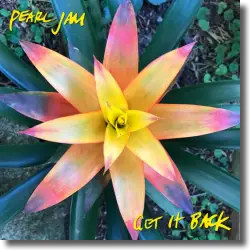 Cover: Pearl Jam - Get It Back