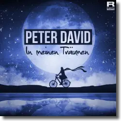 Cover: Peter David - In meinen Träumen
