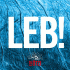 Cover: DJ Ötzi - Leb!