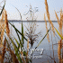 Cover: Jante - Weit genug (Am Ufer Session)