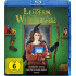 Cover Platz 15