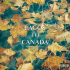Cover Platz 19