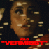 Cover: Aylo - Vermisst