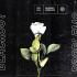 Cover Platz 19