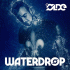 Cover Platz 9
