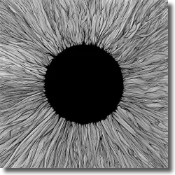 Cover: VOLA - Witness