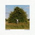 Cover Platz 9
