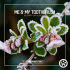 Cover Platz 35