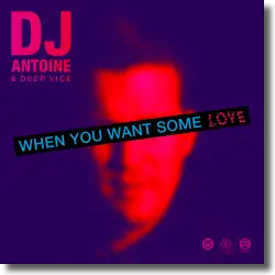 Cover: DJ Antoine & Deep Vice - When You Want Some Love