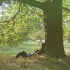 Cover: John Lennon - Plastic Ono Band  (The Ultimate Collection)