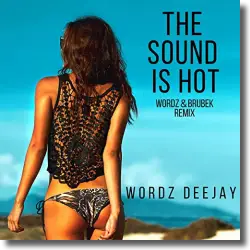 Cover: Wordz Deejay - The Sound Is Hot (Wordz & Brubek Edit)