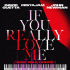 Cover: David Guetta x MistaJam x John Newman - If You Really Love Me (How Will I Know)