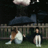 Sara Kays – Struck By Lightning
