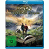 Cover Platz 19