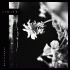 Cover Platz 16