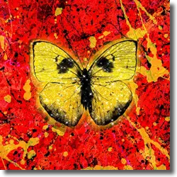 Cover: Ed Sheeran - Shivers