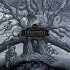 Cover Platz 13