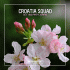 Cover Platz 15