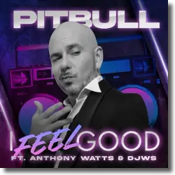 Cover: Pitbull feat. Anthony Watts & DJWS - I Feel Good