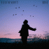 Cover: Calum Scott - Rise