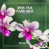 Cover Platz 21