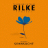 Cover Platz 12