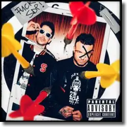 Cover: SDP - Du hast gehofft