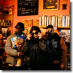 Cover: Lune - Du wirst es nie verstehen