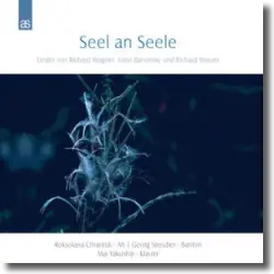 Cover: Various Artists - Seel an Seele