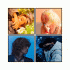 Cover Platz 15