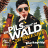 Cover: Bierkapitän - Ein Pils steht im Wald (die Tannen zapfen)