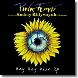 Cover: Pink Floyd feat. Andriy Khlyvnyuk of Boombox - Hey Hey Rise Up