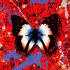 Cover Platz 20