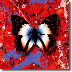 Cover: Ed Sheeran feat. Lil Baby - 2step