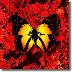 Cover: Ed Sheeran feat. reezy - 2Step